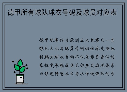 德甲所有球队球衣号码及球员对应表