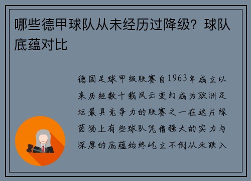 哪些德甲球队从未经历过降级？球队底蕴对比