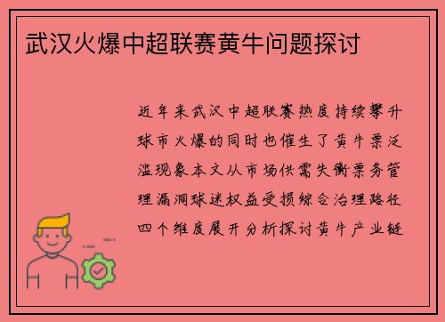 武汉火爆中超联赛黄牛问题探讨